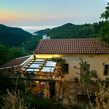 Olive Mill Cottage سكوبيلوس تاون المظهر الخارجي الصورة